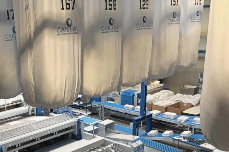 Cailliau triples its turnover in 5 years!